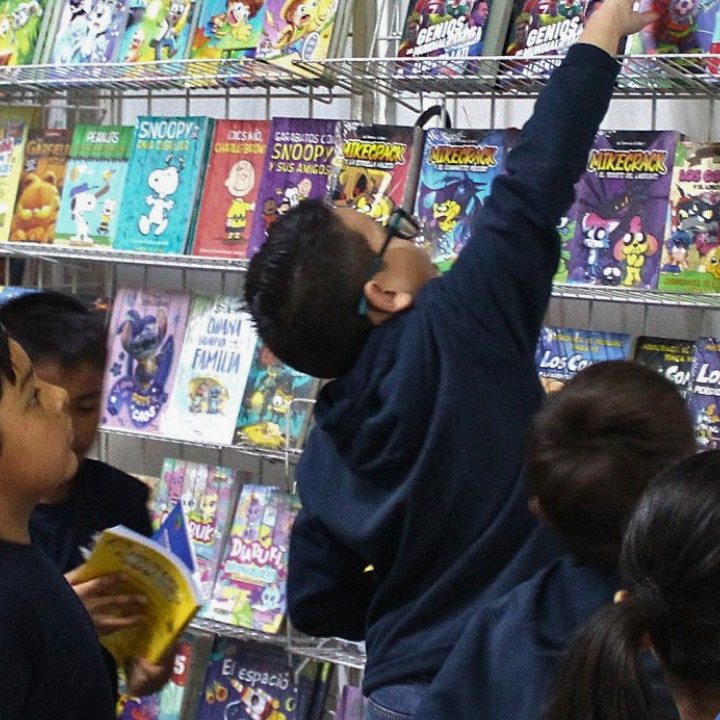 Alumno busca un libro en la feria de lectura